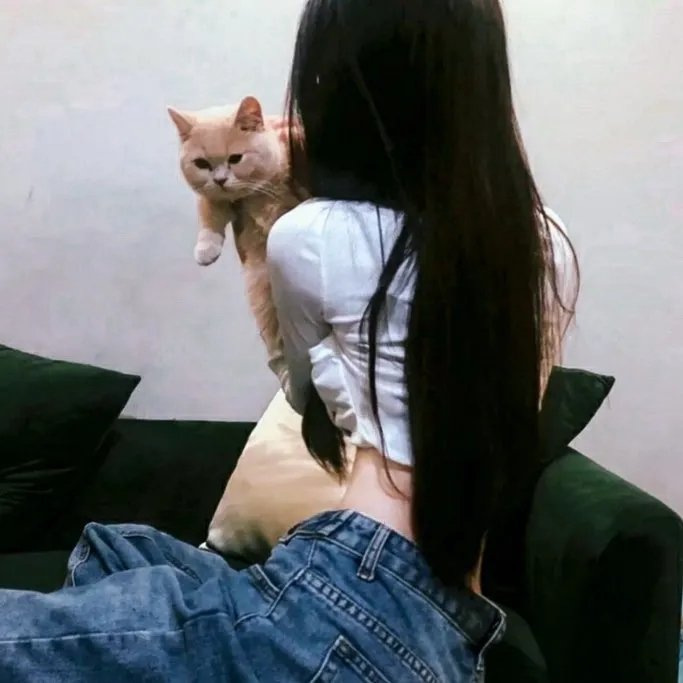 倾斜